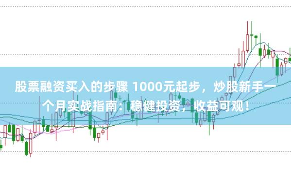 股票融资买入的步骤 1000元起步，炒股新手一个月实战指南：稳健投资，收益可观！
