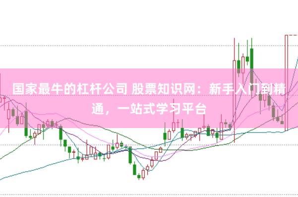 国家最牛的杠杆公司 股票知识网：新手入门到精通，一站式学习平台