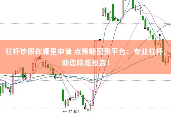 杠杆炒股在哪里申请 点策略配资平台：专业杠杆，助您精准投资！