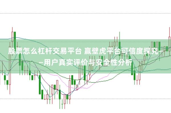 股票怎么杠杆交易平台 赢壁虎平台可信度探究——用户真实评价与安全性分析