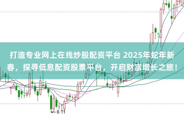 打造专业网上在线炒股配资平台 2025年蛇年新春,探寻低息配资股票平台,开启财富增长之旅!