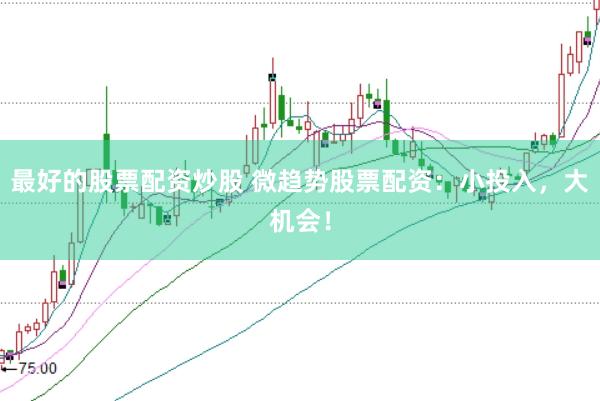 最好的股票配资炒股 微趋势股票配资：小投入，大机会！