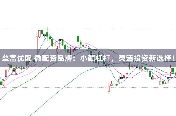垒富优配 微配资品牌:小额杠杆,灵活投资新选择!