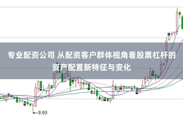 专业配资公司 从配资客户群体视角看股票杠杆的资产配置新特征与变化