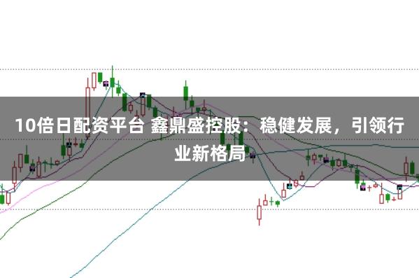 10倍日配资平台 鑫鼎盛控股：稳健发展，引领行业新格局